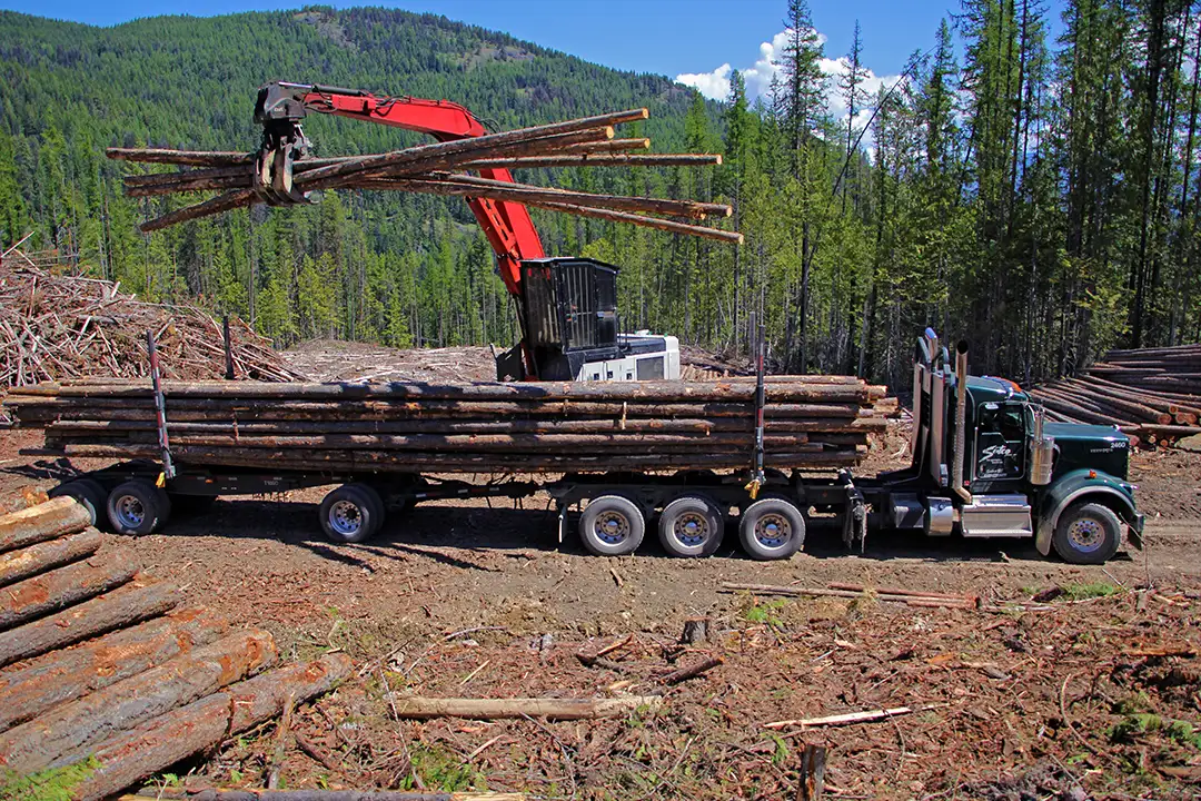 Sutco Transportation Specialists Long Logger Getting Loaded in BC Mountains